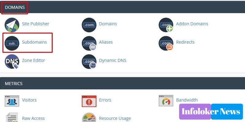 Tips and How to Create a Subdomain via cPanel